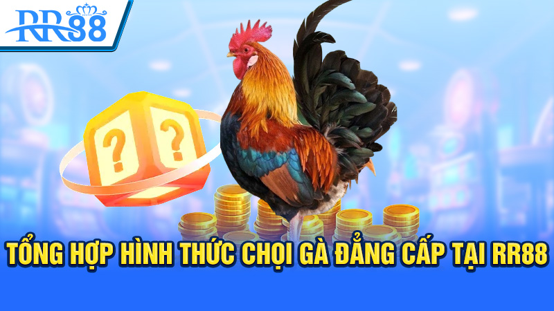 Tổng hợp hình thức chọi gà đẳng cấp tại RR88