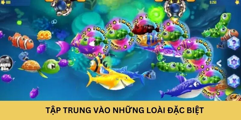 Tập trung vào những loài đặc biệt 