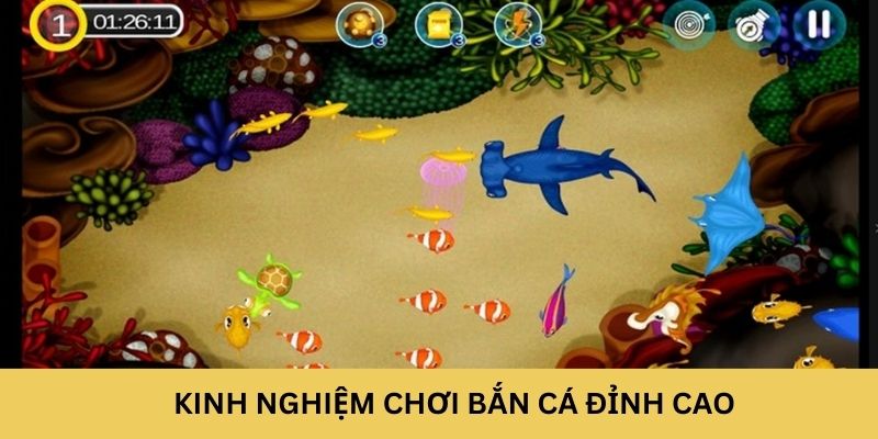 Kinh nghiệm chơi bắn cá đỉnh cao